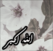MMS ~